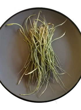 2026年新货野生竹叶心新鲜竹芯晒干竹子嫩芽卷心竹针100g凉茶中药