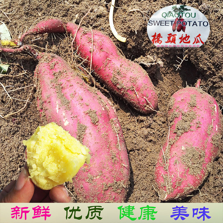 海南澄迈桥头富硒地瓜新鲜红薯板栗薯烤番薯桥沙地瓜山芋10斤包邮