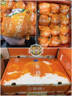 沈阳发货立国高山云雾橙品鉴鲜橙新鲜水果纯甜5斤/10斤辽宁省包邮