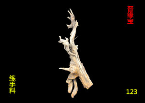 山西晋城崖柏 崖柏毛料 陈化料 太行毛料虎皮纹陈化瘤料根雕正宗