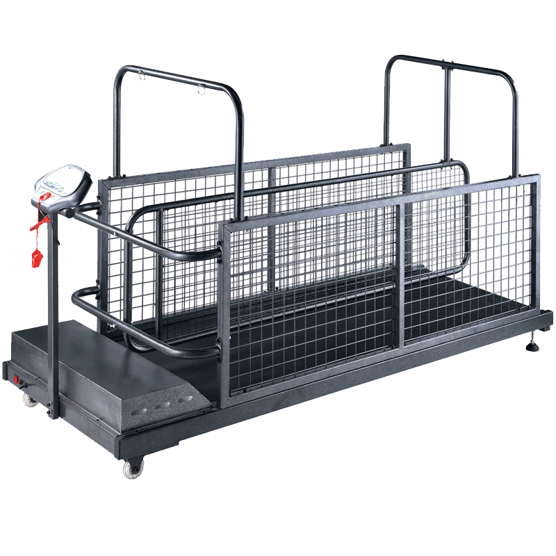 jianbu直销狗狗训练c402w跑步机怎么样？不吹不黑讲一讲性价比