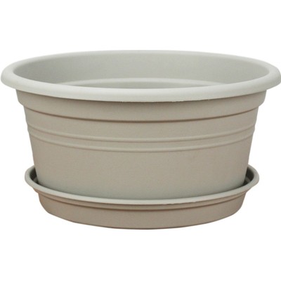 环球新款球根盆树脂包邮园艺植物