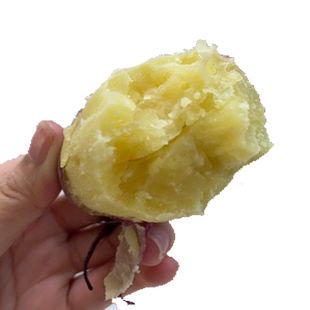 海南澄迈桥头富硒地瓜圆果10斤带箱现挖新鲜板栗红薯沙地番薯黄心