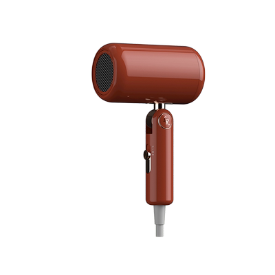 罗拉新婚礼盒负离子恒温吹风机