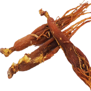 新鲜红全须人参红参片人参片吉林长白山参人叁高丽参整枝干参