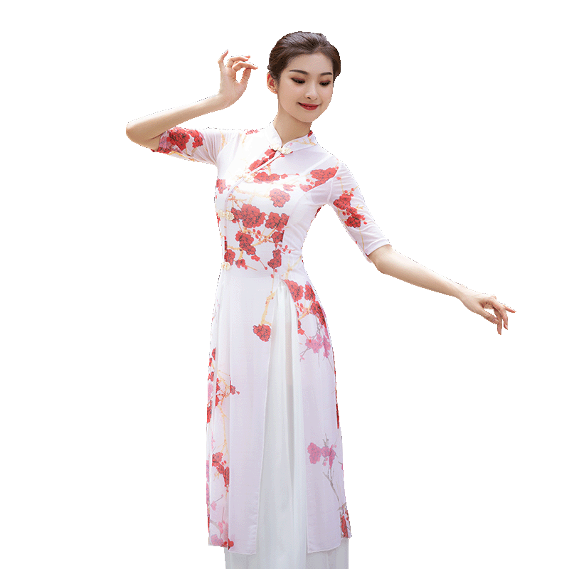 菲梵舞后古典舞舞蹈服专业成人