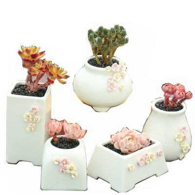 特价清仓个性简约多肉花盆