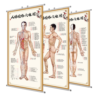 人体经穴与病症对照挂图中医人体经络穴位高清真人身体按摩海报hb