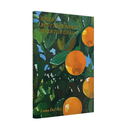 【现货】Lana Del Rey拉娜·德雷诗歌集 Violet Bent Backwards Over the Grass  诗集 精装打雷姐新书书籍进口原版