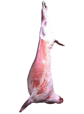 吉羊上品新疆整只羊肉全国包邮价