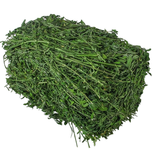 兔子苜蓿草提摩西草干草料荷兰猪龙猫豚鼠粮食幼兔饲料粮吃苜宿草