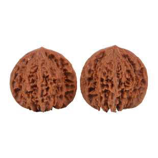 精品红皮老树老核文玩满天星核桃手把件密纹细选把玩狮子头麻核桃