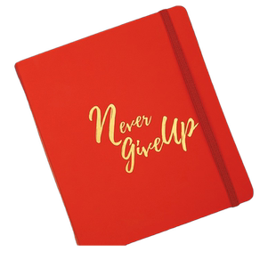 趁早x郎平设计主题生存手册时间管理日程效率手册工作学习每日计划记事本手帐 女排精神 顽强拼搏 永不言弃