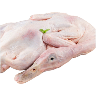 华英鸭子麻鸭950g散养老鸭新鲜冷冻土鸭整只鸭货生鲜营养美味食材