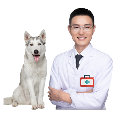 狗猫咪生病选杰羚医生不满意可退