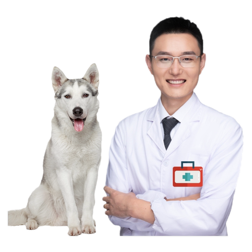 在线问诊