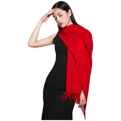 本命年会同学会logo中国红围巾