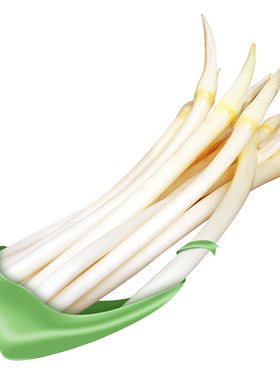 洪湖藕带新鲜特产现挖肠子蔬菜
