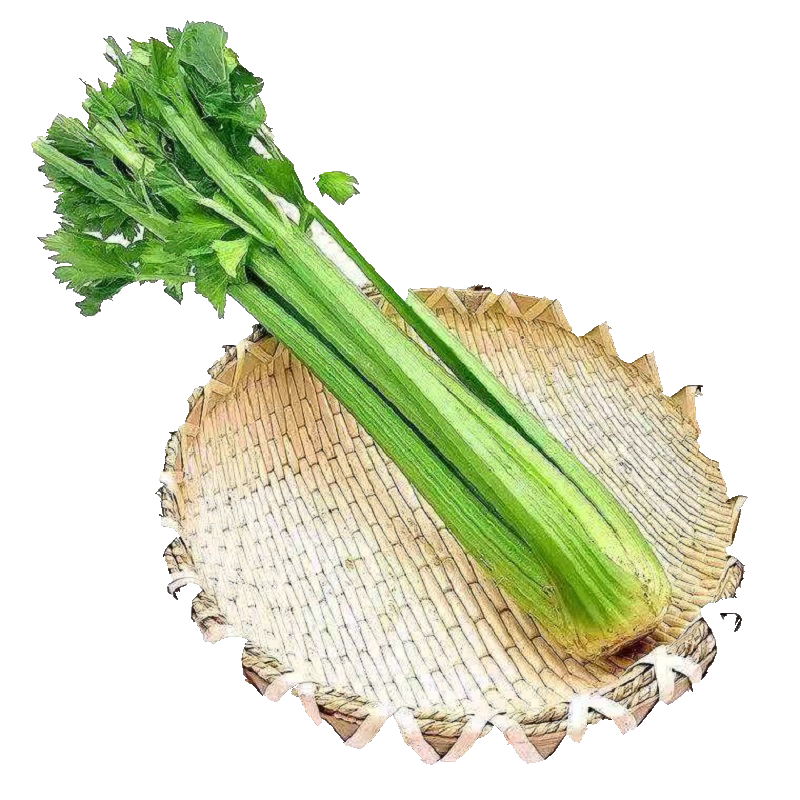 山东西芹芹菜新鲜优质露天无丝
