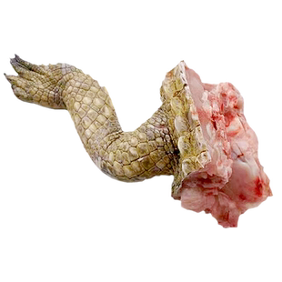 鳄鱼掌肉 鲜活宰杀3斤鳄鱼腿活杀整只暹罗鳄鳄鱼生鲜肉新鲜鳄鱼爪