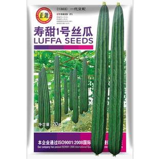 和利农 正源寿甜1号棱丝瓜种子早熟角瓜种籽子农家高产蔬菜苗孑