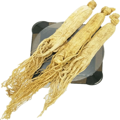 500克人参白参生晒参长白山参东北人参片西洋参人叁花新鲜吉林参