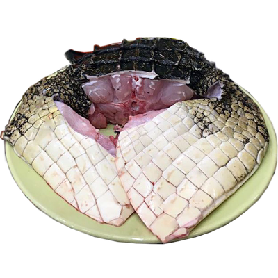 新鲜鳄鱼肉鲜活宰杀3斤鳄鱼腩肉新鲜整条鲜活现杀鳄鱼肚鳄鱼身段
