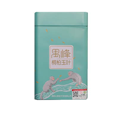 龙井桐柏山南阳特产250g春茶