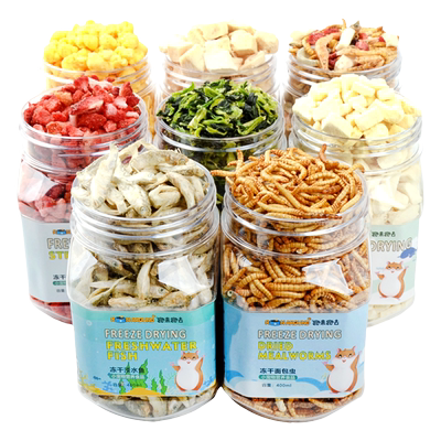 仓鼠仓鼠冻干零食跑来跑去