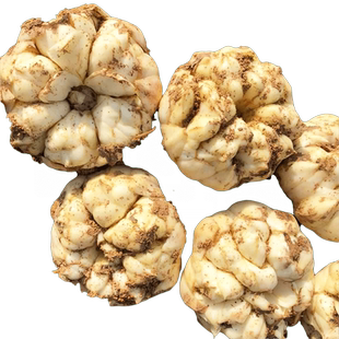 2025宜兴新鲜食用大百合5斤包邮宜兴特产纯农家天然小白合2500g