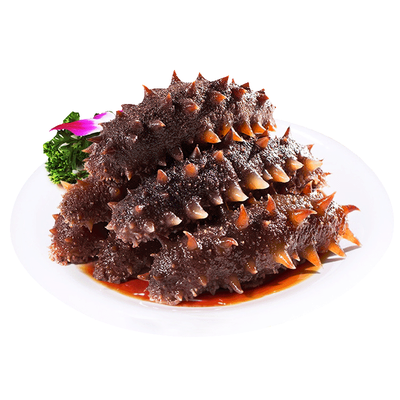 辽参乐扬先活大连即食海参500g