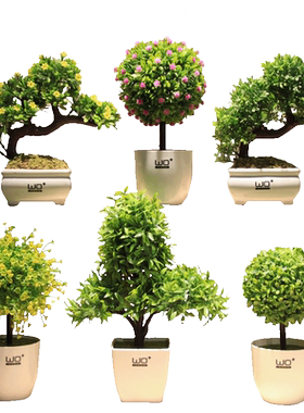 wo+发财树绿植盆景假花