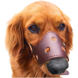 狗嘴套防咬防乱叫防乱吃小型犬防叫止吠器金毛狗嘴罩大型犬狗口罩