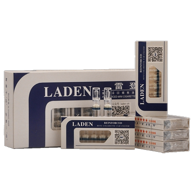 雷登烟嘴微孔一次性抛弃