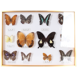 铝合金立体衍纸中空相框创意画框挂墙diy定制球衣裱框奖牌标本框