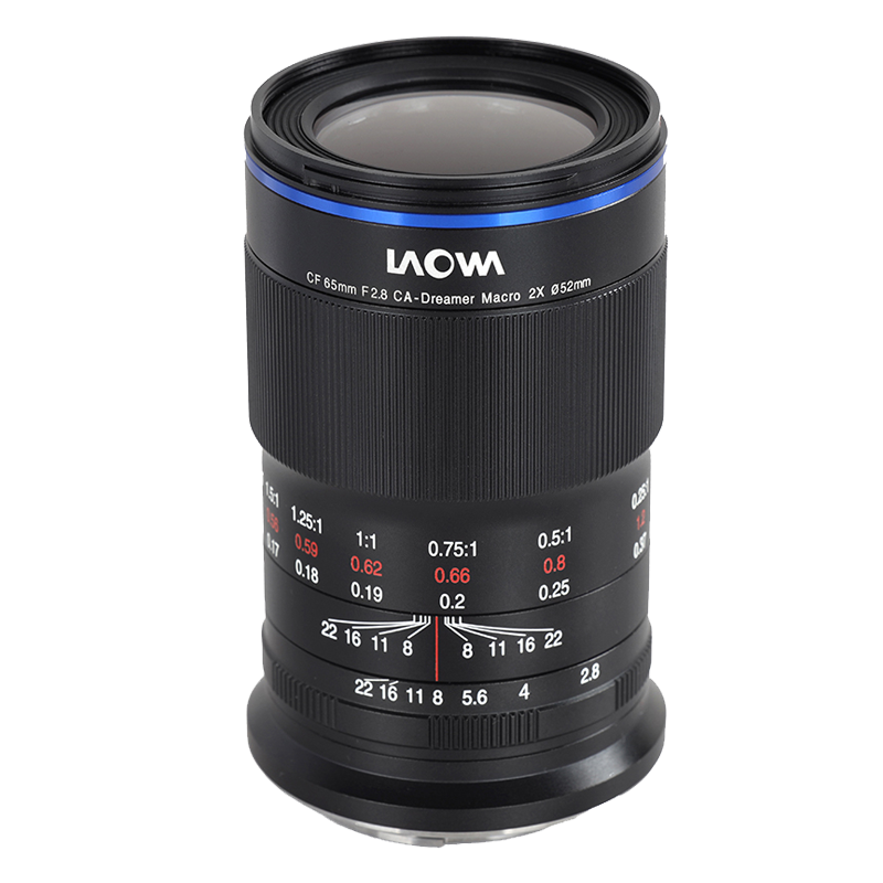 Laowa老蛙65mm f2.8微距镜头昆虫牙齿花卉牙科2倍放大无反镜头M口
