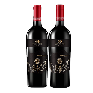 类人首岩语特选红酒2支礼盒装 宁夏赤霞珠干红葡萄酒自酿750ml/瓶