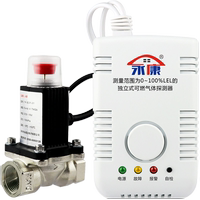 永康家用燃氣報警器電磁閥泄漏