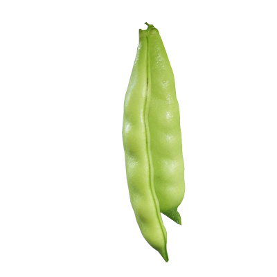 蔬菜四季不搭架大全早熟东北豆角