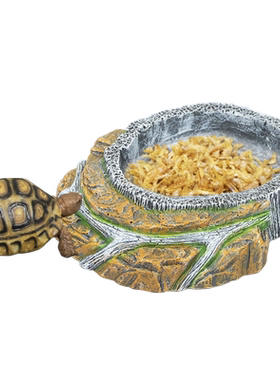 爬宠宠物乌龟角蛙守宫蜥蜴喂食盘