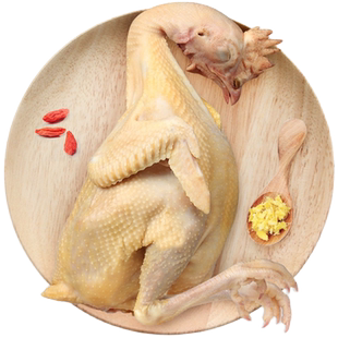 金润源长汀河田鸡新鲜现杀农家散养老母鸡月子土鸡汤走地鸡跑山鸡