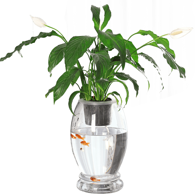 水培玻璃瓶透明花瓶器皿