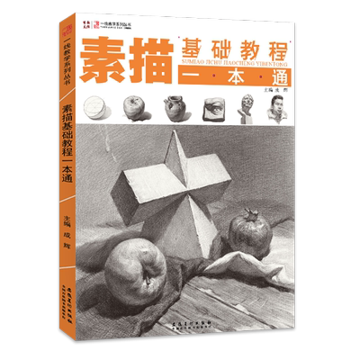素描基础教程一本美术绘画