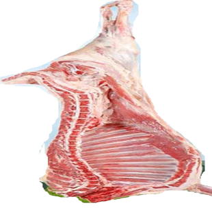 半只羊肉新鲜8斤包装新疆草原牧区乳羔绵羊8月龄羔羊顺丰空运包邮