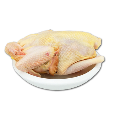 农村下蛋稻谷喂养煲汤鲜美土鸡