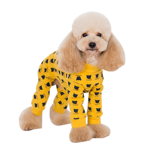 小狗狗衣服泰迪裤腿加长秋冬装时尚可爱雪纳瑞宠物衣服比熊秋季