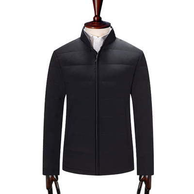 鼎铜商务休闲短款立领男士羽绒服