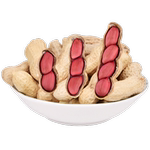 2025年苏花新红皮花生500克净重网袋装 带壳生花生晒干红衣生花生