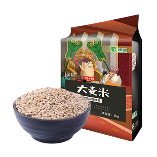 辉业精选大麦米五谷杂粮大麦米饭大麦仁麦子米全胚芽粗粮