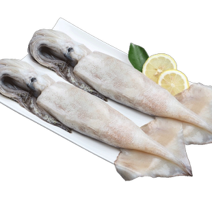 超大新鲜大鱿鱼鲜活水产速冻乌贼冰鲜目鱼尤鱼火锅烧烤海鲜墨鱼